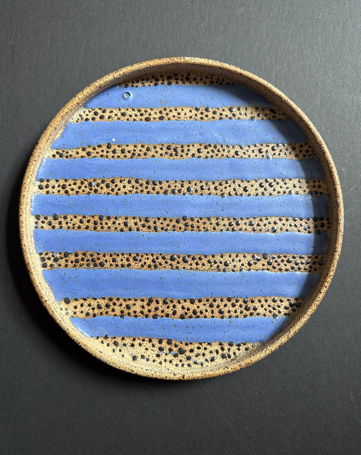 Violet Stripe Speckled Plate