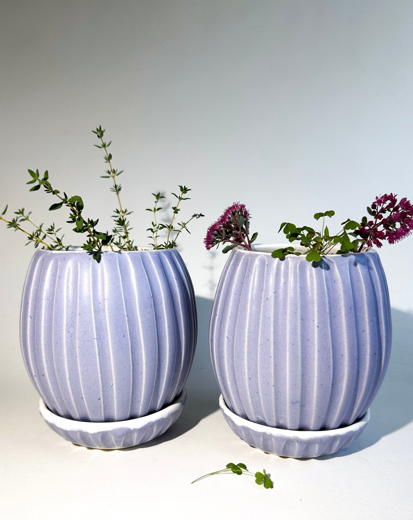Lavender/White Planter