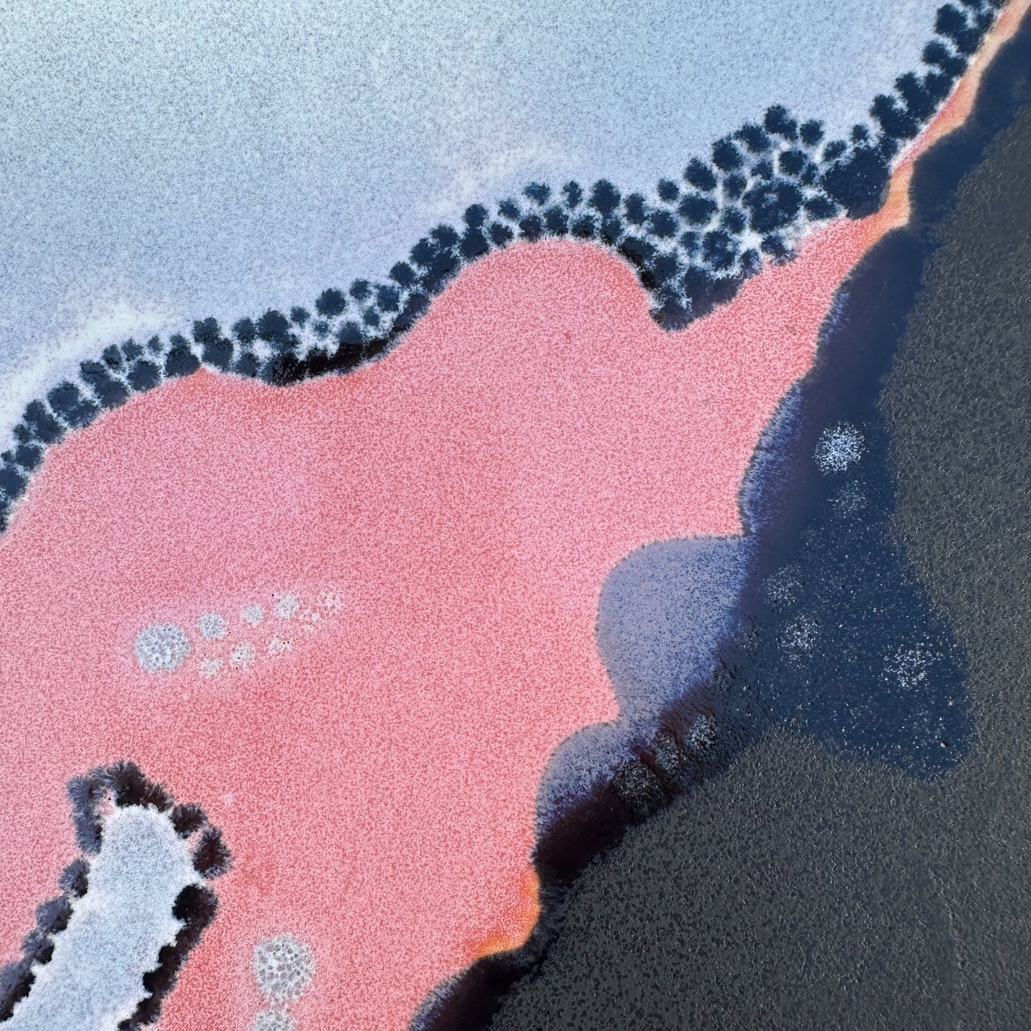 Raspberry + Black Plate